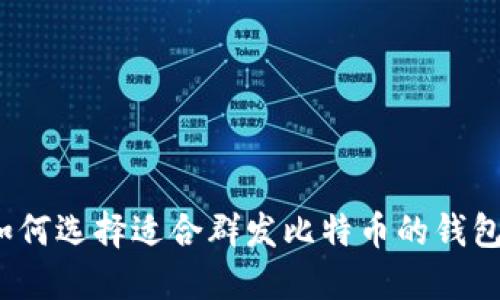 如何选择适合群发比特币的钱包？