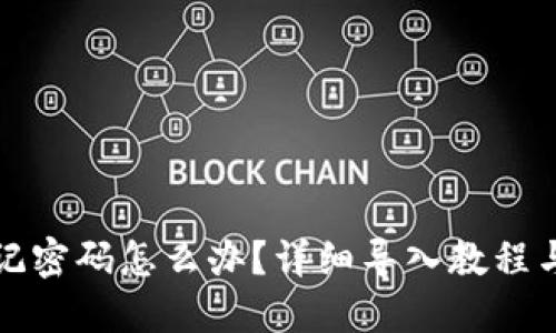 TP钱包忘记密码怎么办？详细导入教程与解决方案