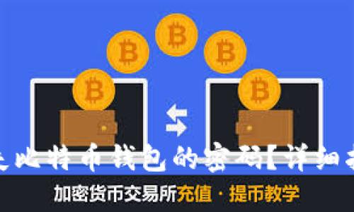 : 如何找回丢失比特币钱包的密码？详细指南与实用技巧