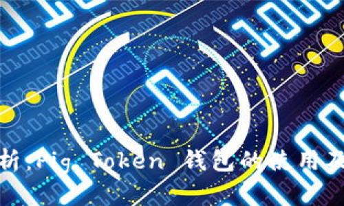 全面解析：Pig Token 钱包的使用及其优势