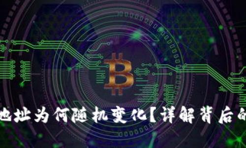 比特币钱包地址为何随机变化？详解背后的原理与意义