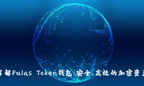 全面了解Pulas Token钱包：安全、高效的加密资产管理