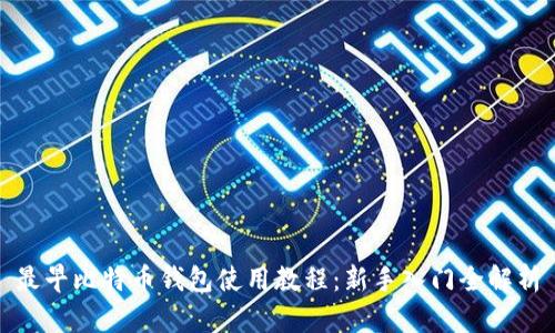 最早比特币钱包使用教程：新手入门全解析