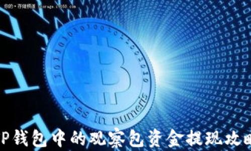 
TP钱包中的观察包资金提现攻略