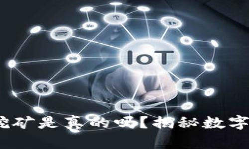 IM Token钱包挖矿是真的吗？揭秘数字资产安全与收益