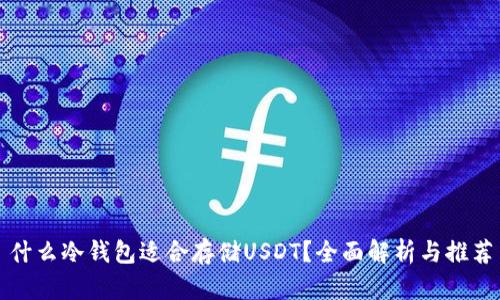什么冷钱包适合存储USDT?全面解析与推荐