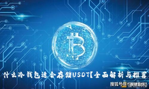 什么冷钱包适合存储USDT？全面解析与推荐