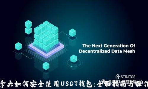 
在加拿大如何安全使用USDT钱包：全面指南与操作技巧