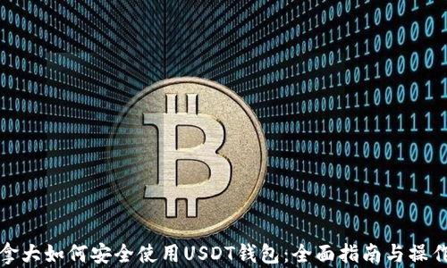 
在加拿大如何安全使用USDT钱包：全面指南与操作技巧