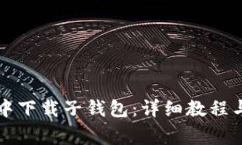 如何在TP钱包中下载子钱包：详细教程与常见问题解答