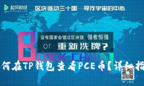 如何在TP钱包查看PCE币？详细指南