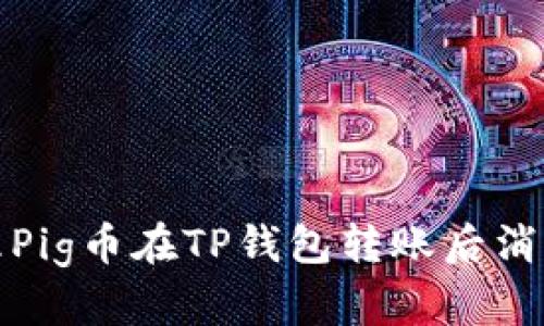 如何处理Pig币在TP钱包转账后消失的问题