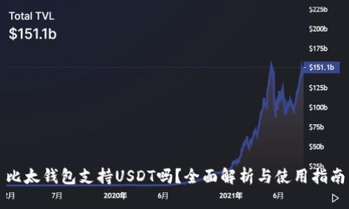 比太钱包支持USDT吗？全面解析与使用指南