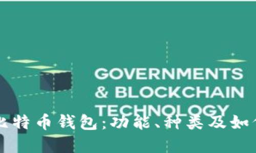 深入了解比特币钱包：功能、种类及如何安全使用