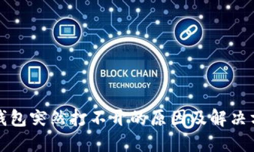 TP钱包突然打不开的原因及解决方案