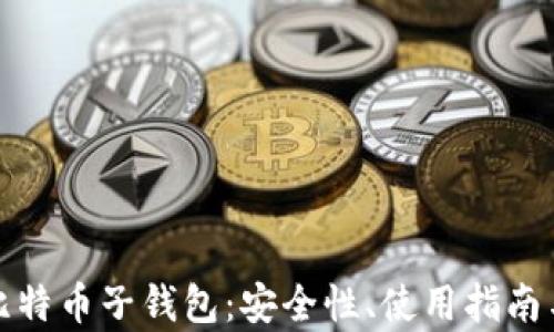 
全面解析比特币子钱包：安全性、使用指南与未来趋势