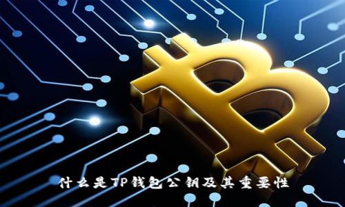 什么是TP钱包公钥及其重要性