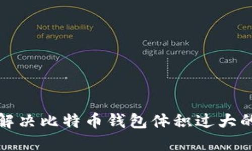 如何解决比特币钱包体积过大的问题