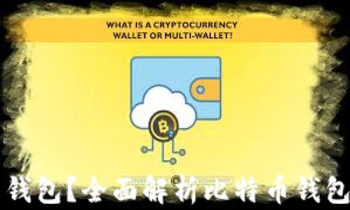 比特币放在什么钱包?全面解析比特币钱包类型与选择指南