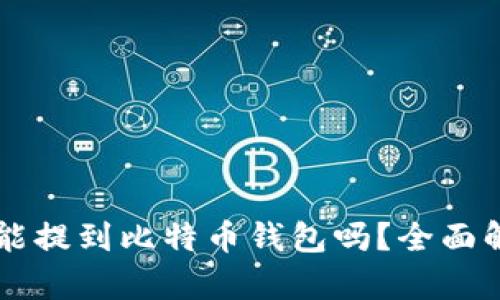 ### 泰达币能提到比特币钱包吗?全面解析及操作指南