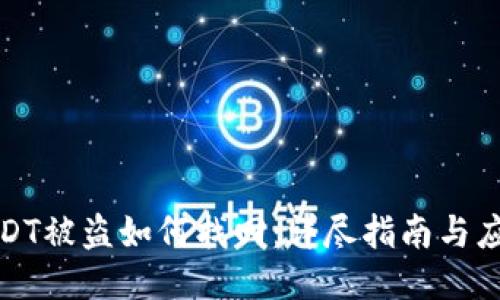 钱包USDT被盗如何找回：详尽指南与应对策略