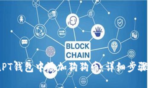 如何在PT钱包中添加狗狗币：详细步骤与指南