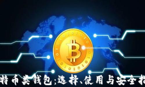 
比特币类钱包：选择、使用与安全指南