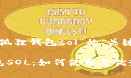 以下是针对“小狐狸钱包sol”的、关键词及内容大纲：

探秘小狐狸钱包SOL：如何使用与优势分析