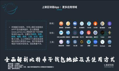 全面解析比特币子钱包地址及其使用方式