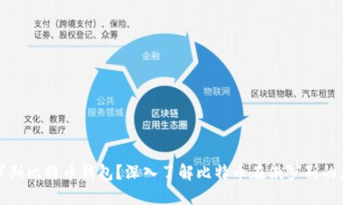 什么是俄罗斯比特币钱包？深入了解比特币在俄罗斯的应用与发展