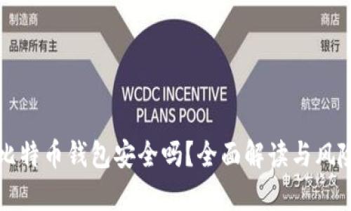 实体比特币钱包安全吗？全面解读与风险分析