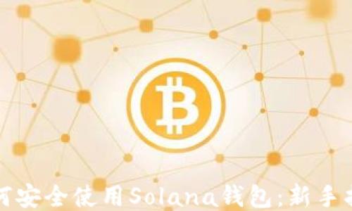 
如何安全使用Solana钱包：新手指南