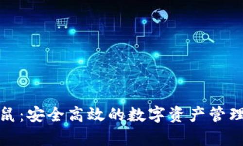 tp松鼠:安全高效的数字资产管理工具